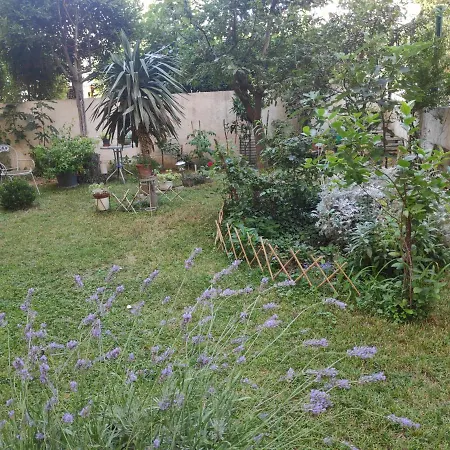 Daire Spacious With Big Garden Near